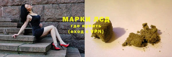 сатива Костерёво