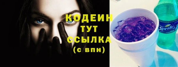 сатива Костерёво