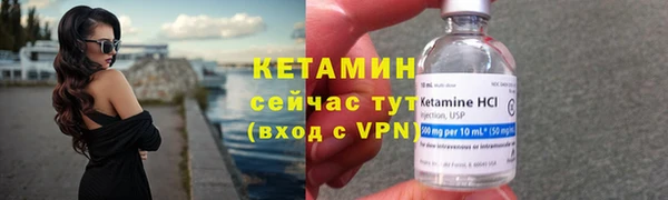 сатива Костерёво