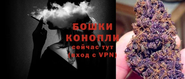 бошки Коряжма
