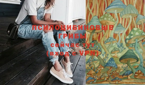 сатива Костерёво